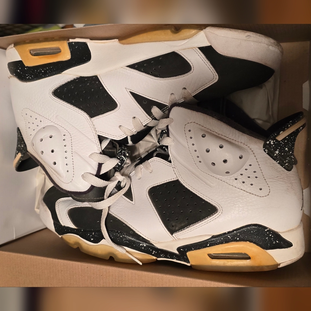 Air Jordan 6 Oreo